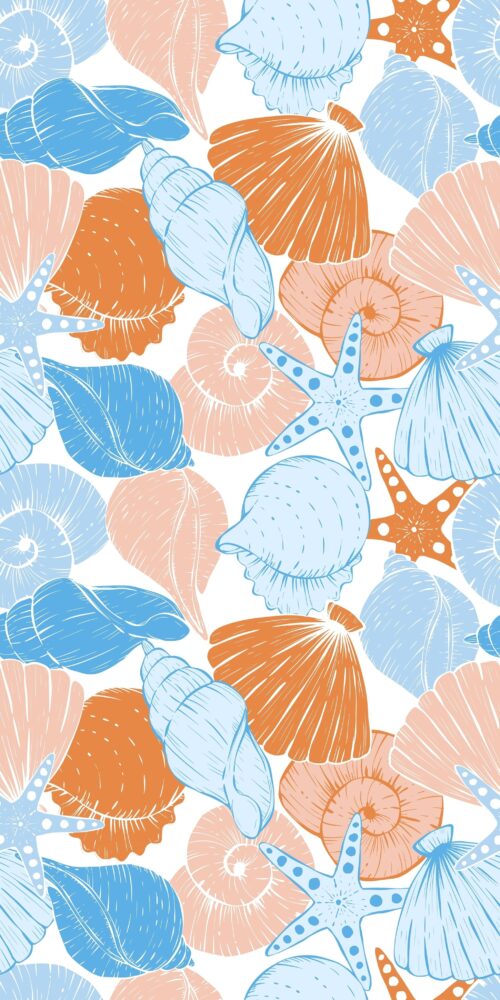 Bright Shells On Top