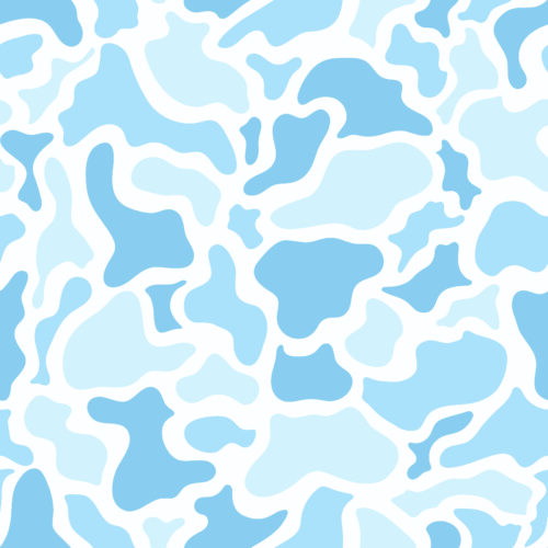 Camo