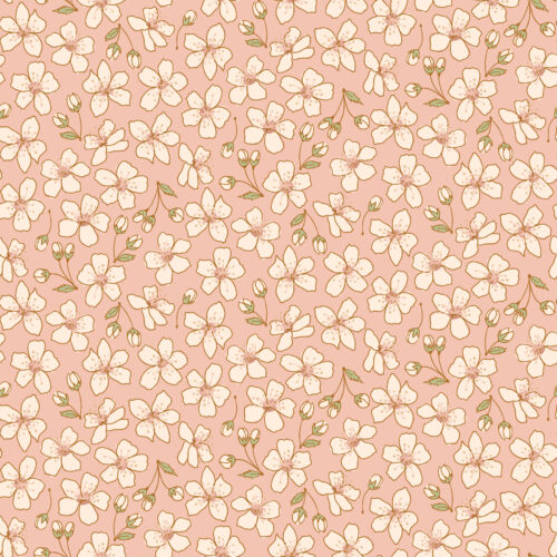 cherry blooms blush