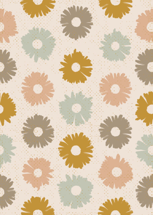 daisy blooms petal