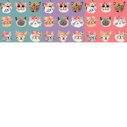 2024 flower cats