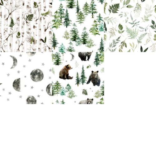 Forest Night