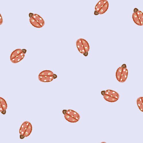 Ladybug