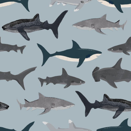 Sharks