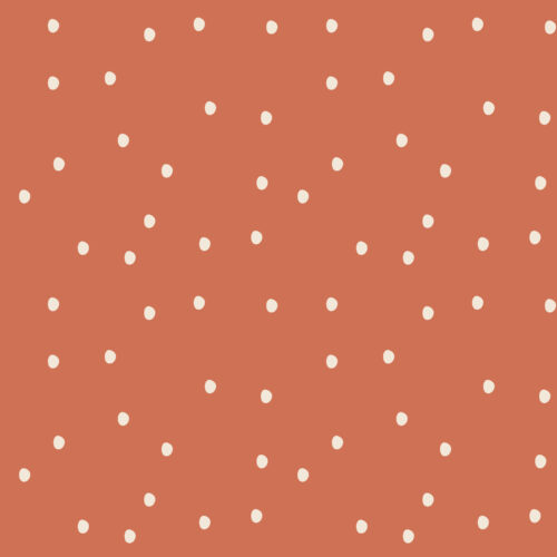 Polka Dot Lady Bug