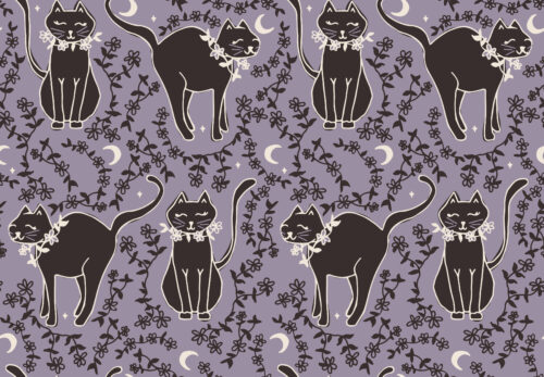 pretty kitty dusk