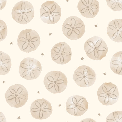 sanddollar cream