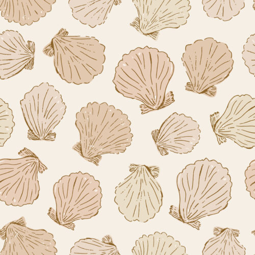 Eva Catharina - shells