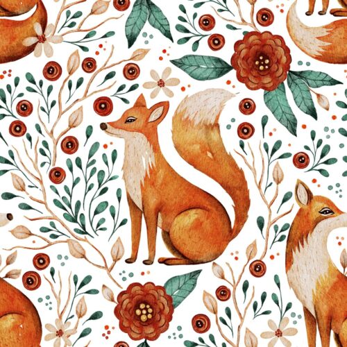 fox