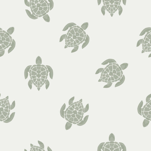 turtles 8×8