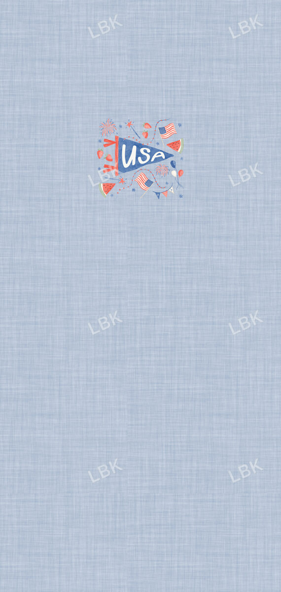 USA panel 19x40-chambray blue linen