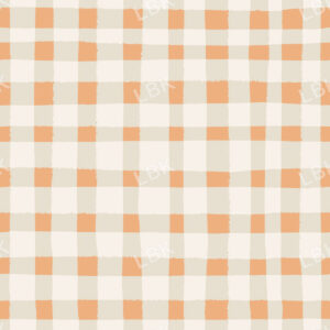 Camping Gingham