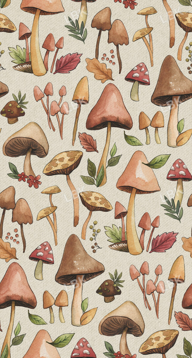 Mushrooms Meadow
