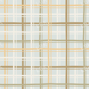 Colors of Plaid