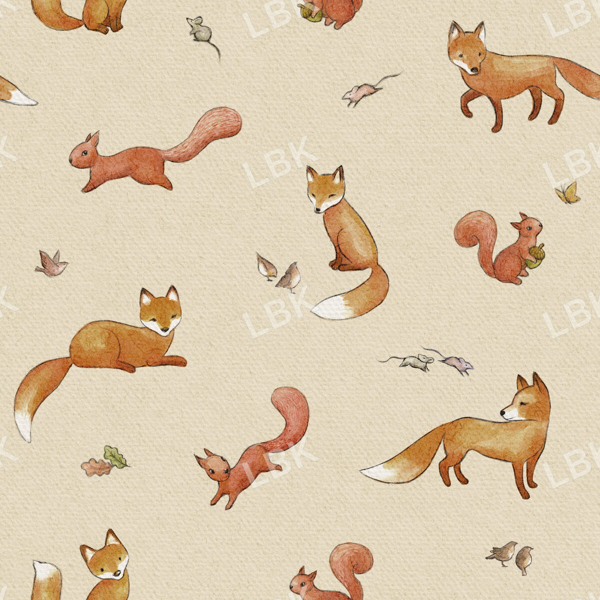 Foxes & Squirrels