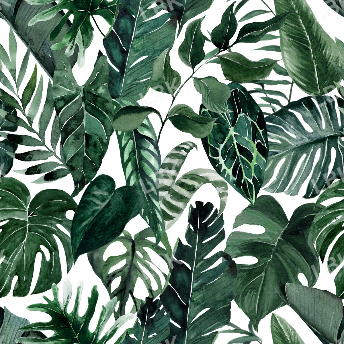 Tropical Summer Leaves