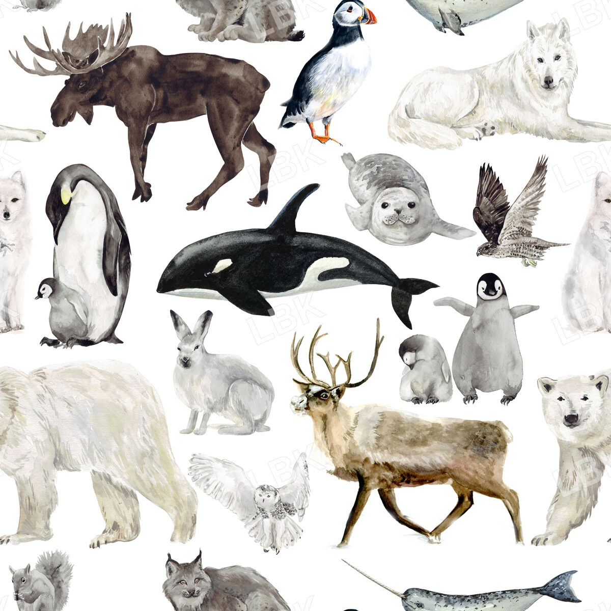 Arctic Winter Animals