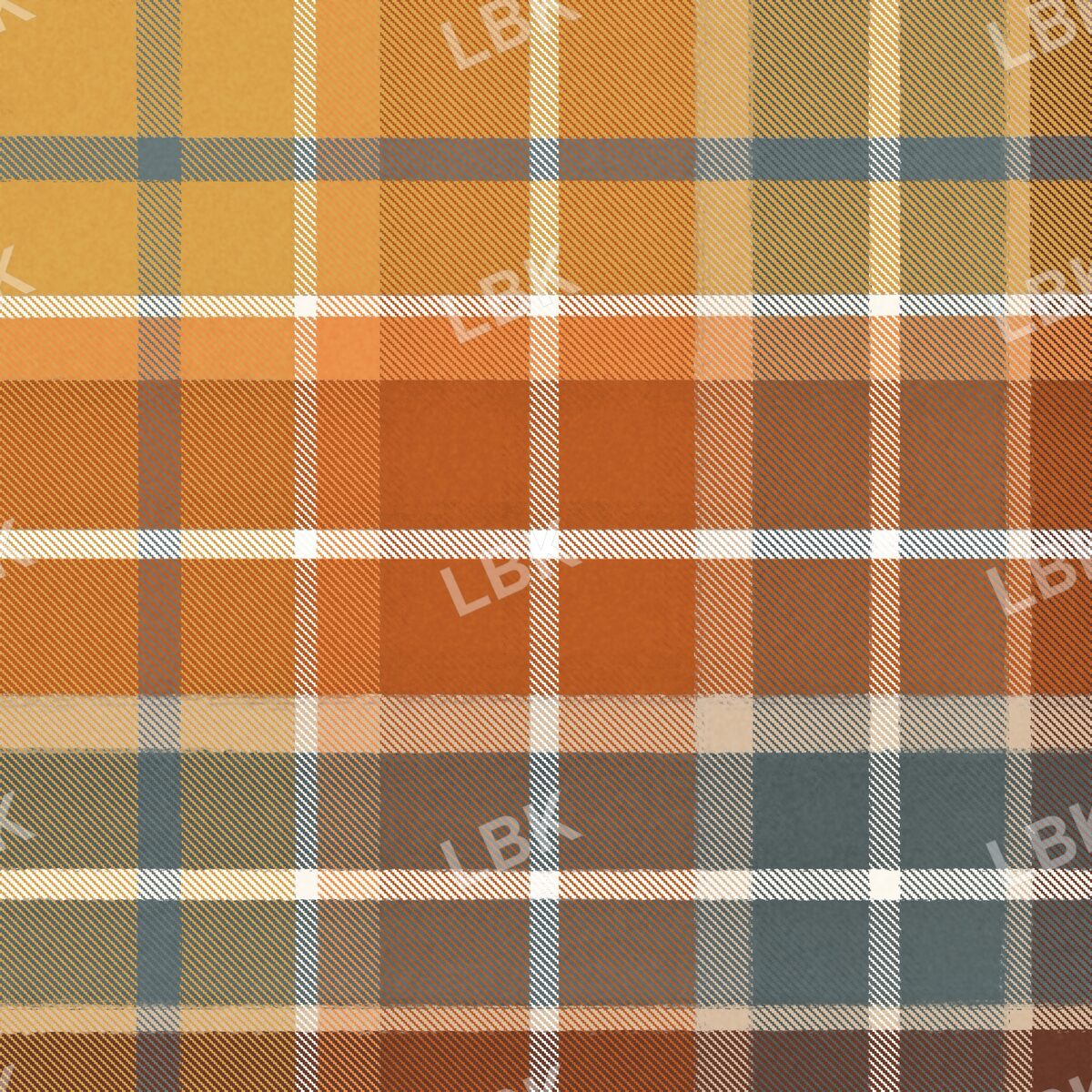 Autumn breeze plaid lighter multi