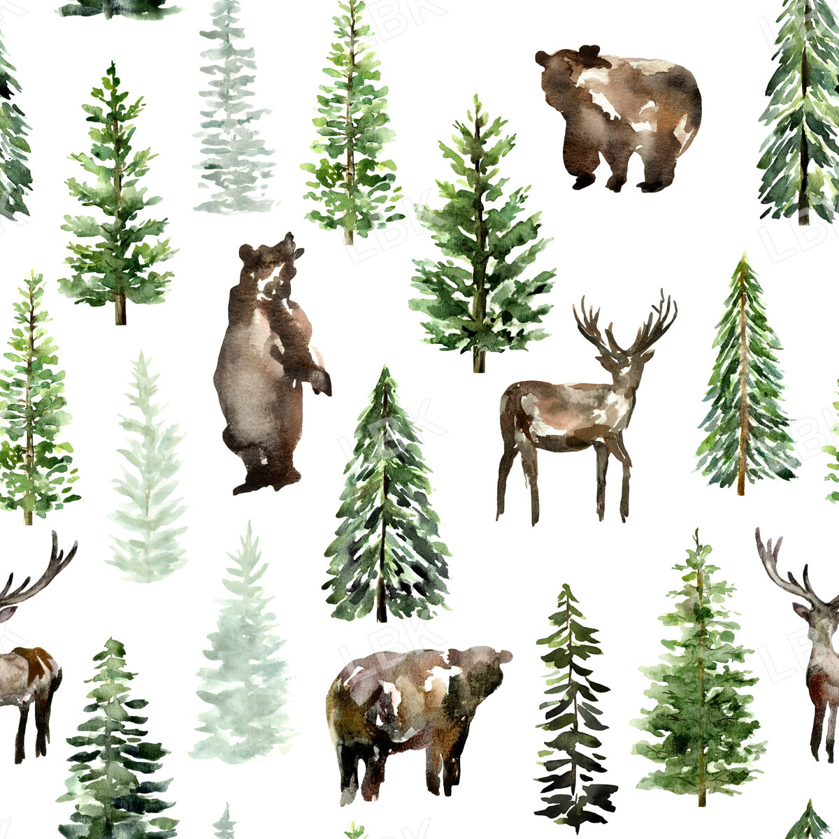 Wilderness Forest