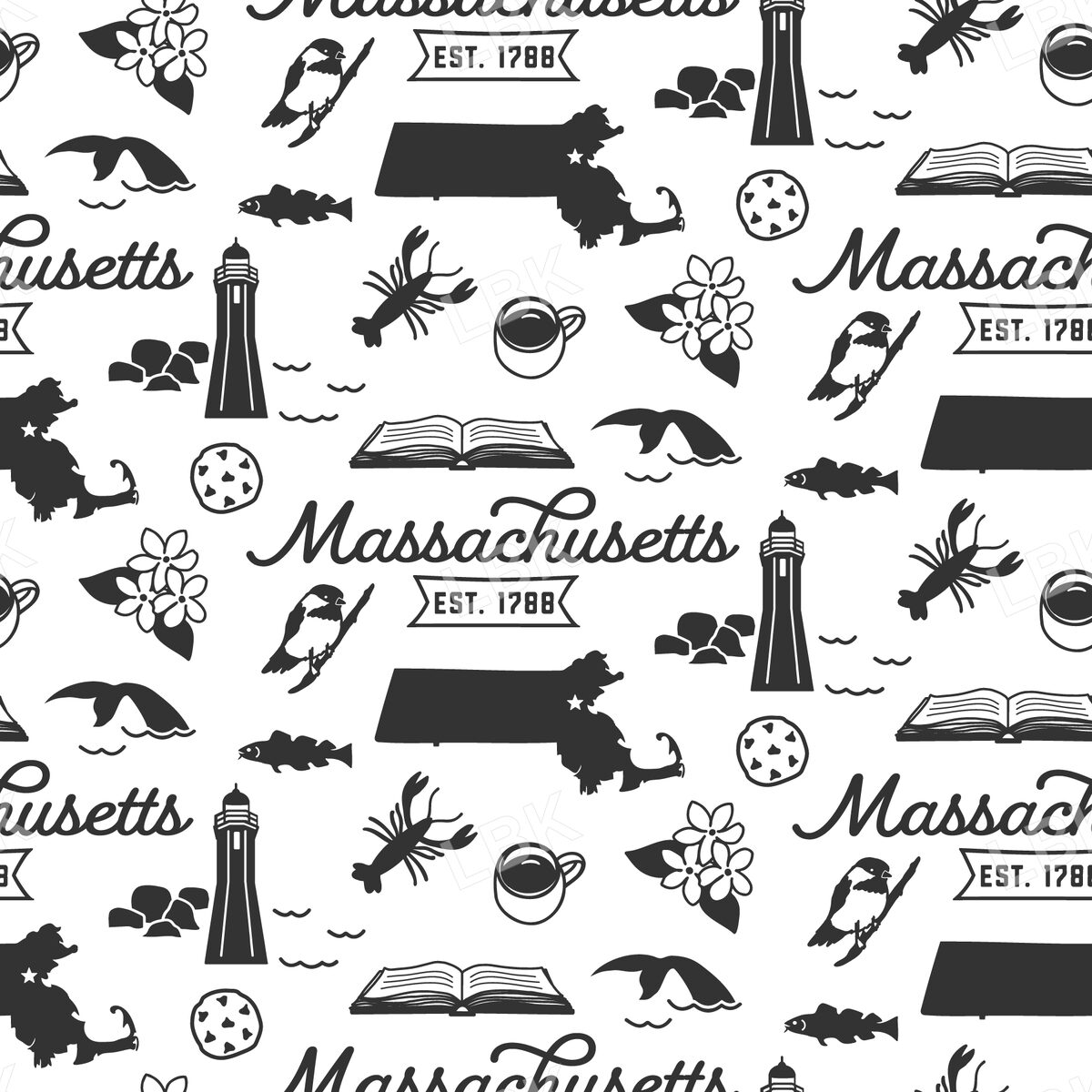Massachusetts-black and white