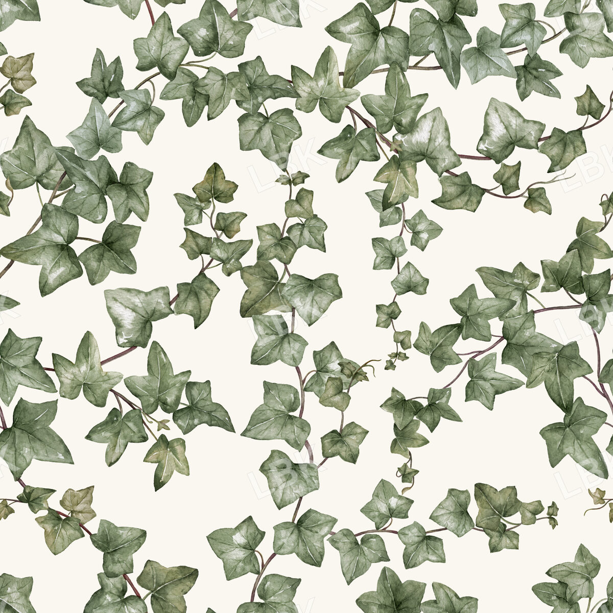 English Garden Ivy