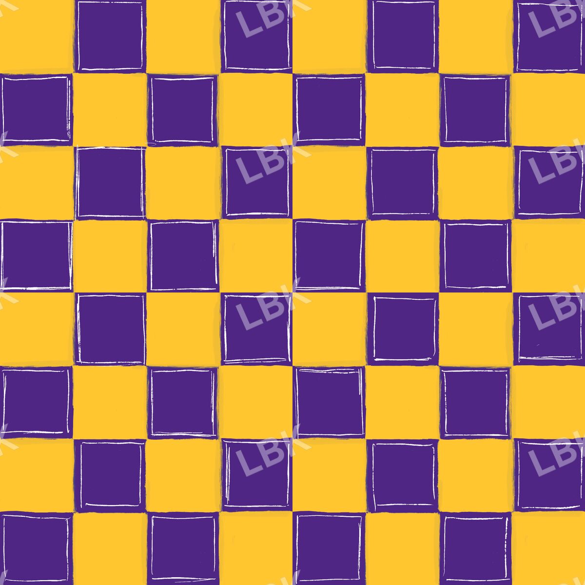 Minnesota check
