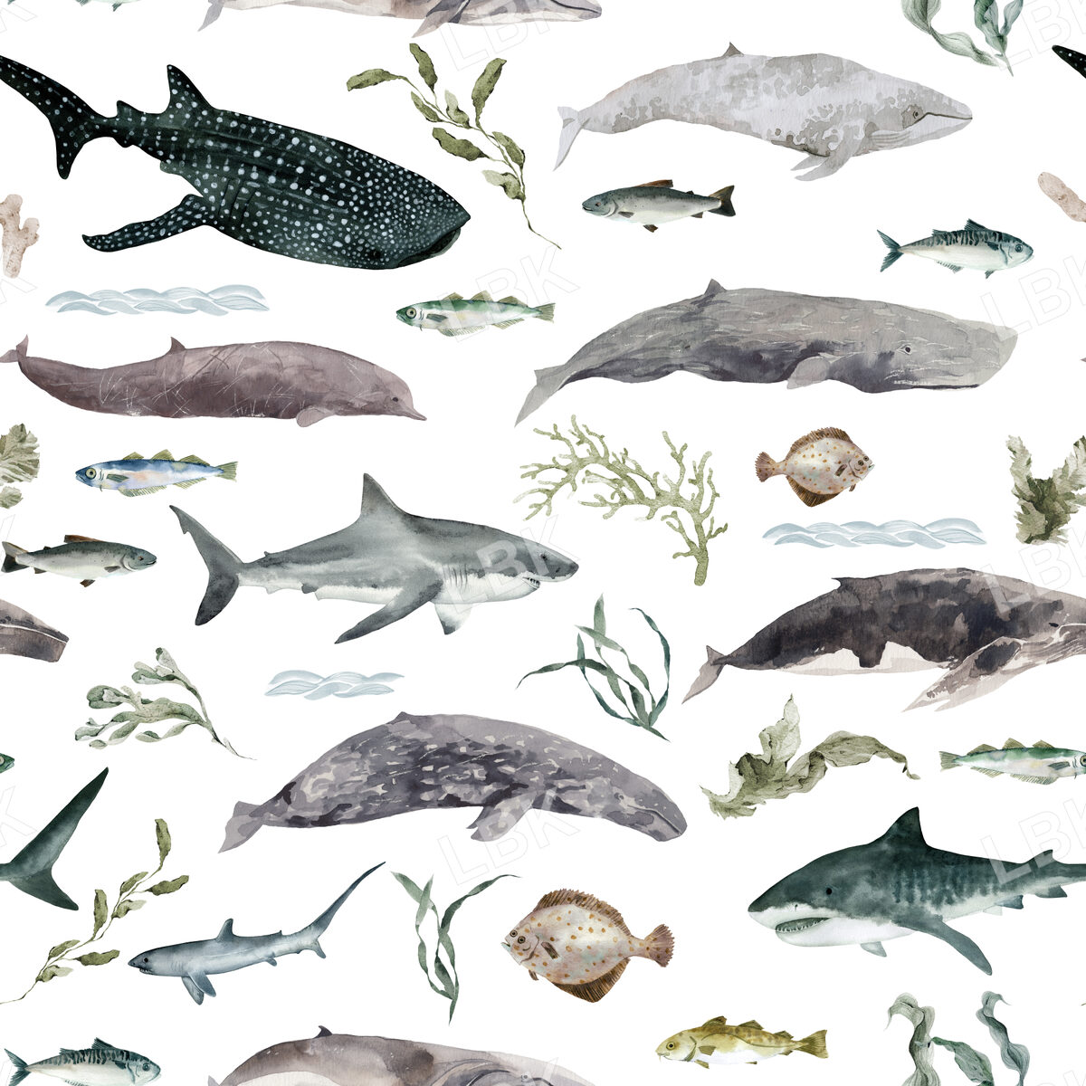 Ocean Wildlife