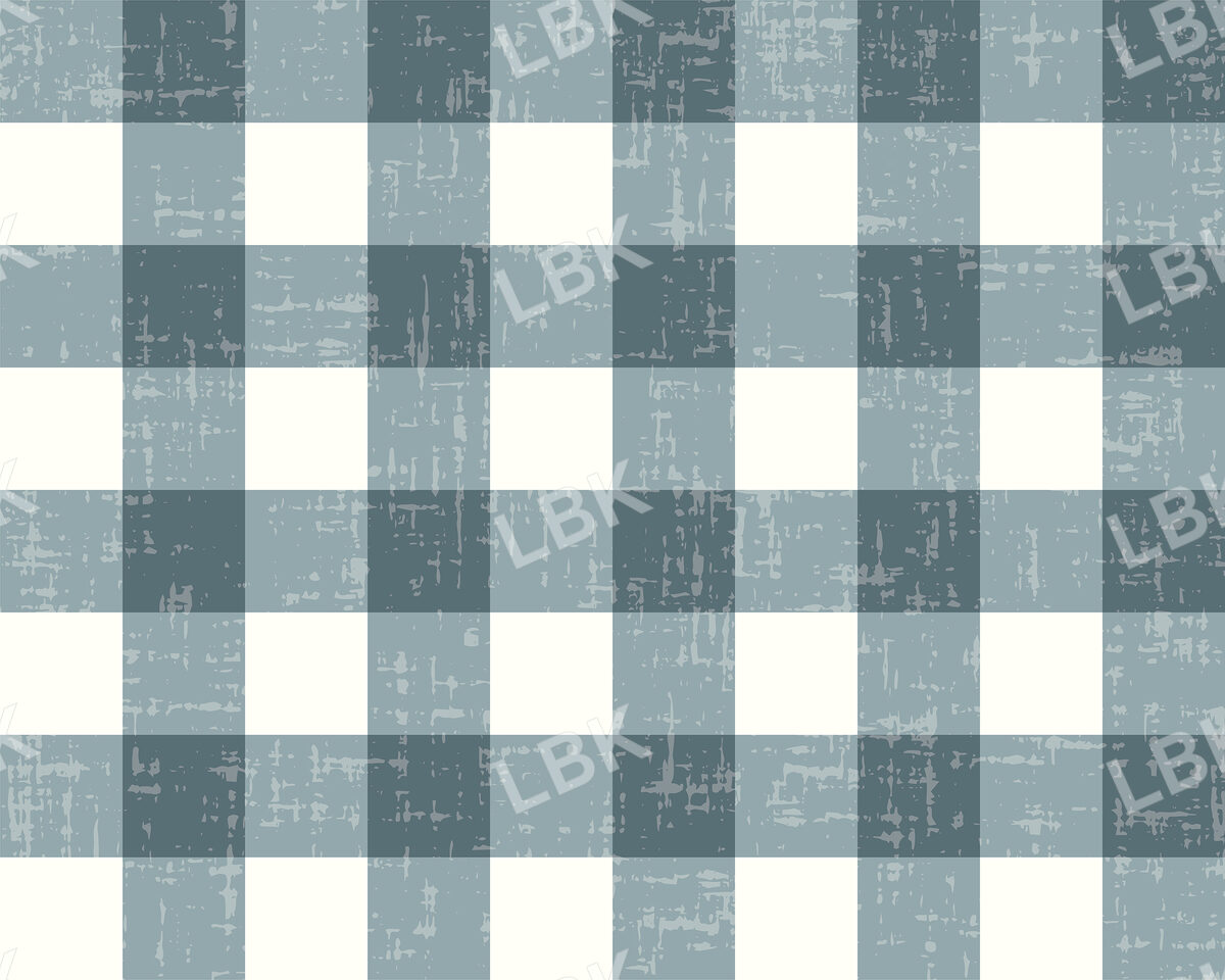 freedom gingham blue