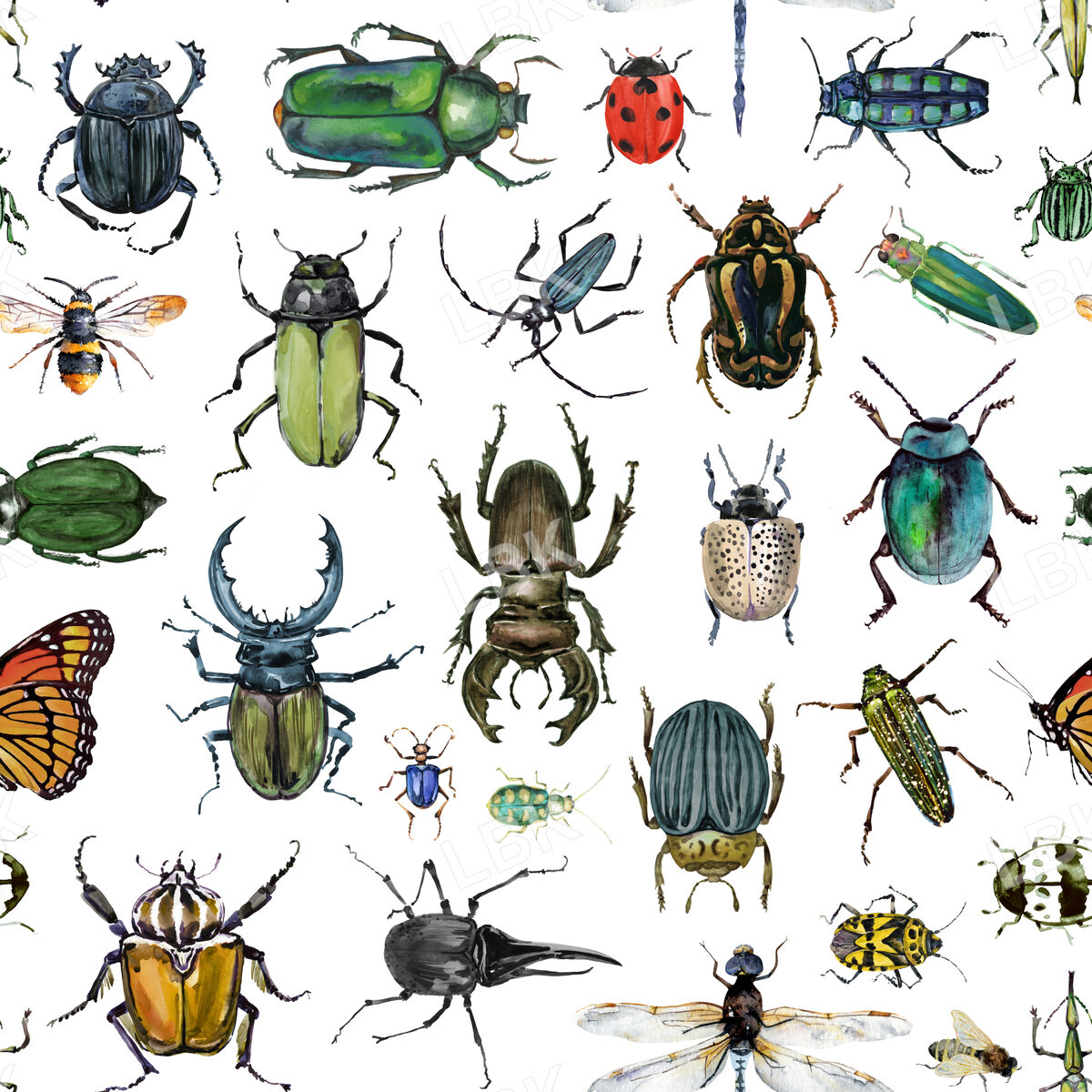 The Bug Collector