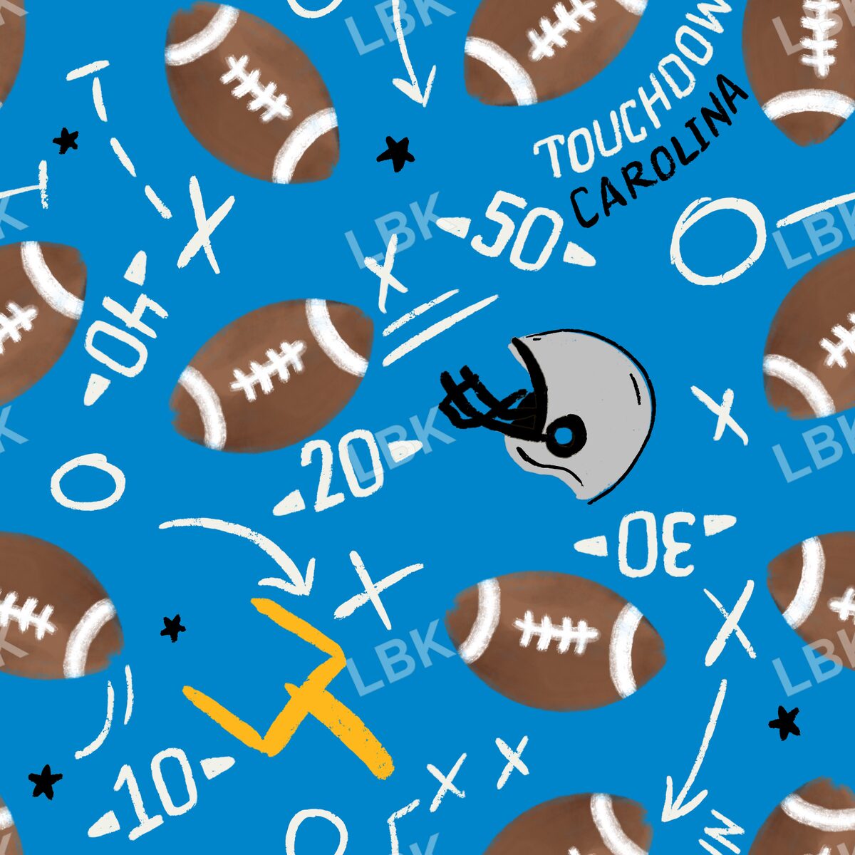 Carolina Touchdown terrain