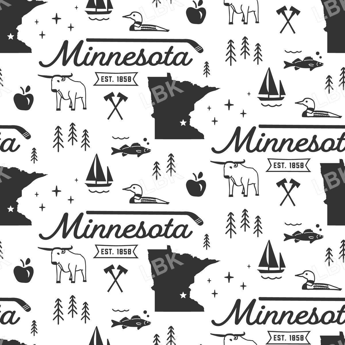 Minnesota-black and white