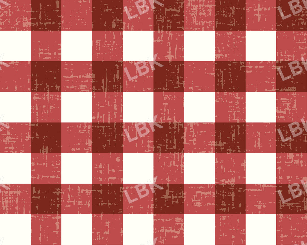 freedom gingham red