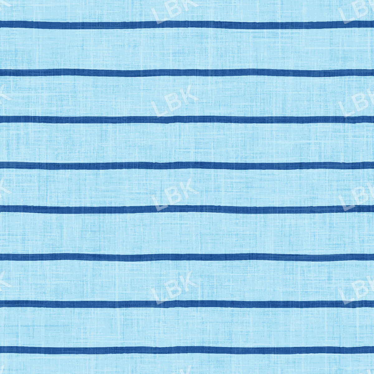 Skate Park Stripe Blue
