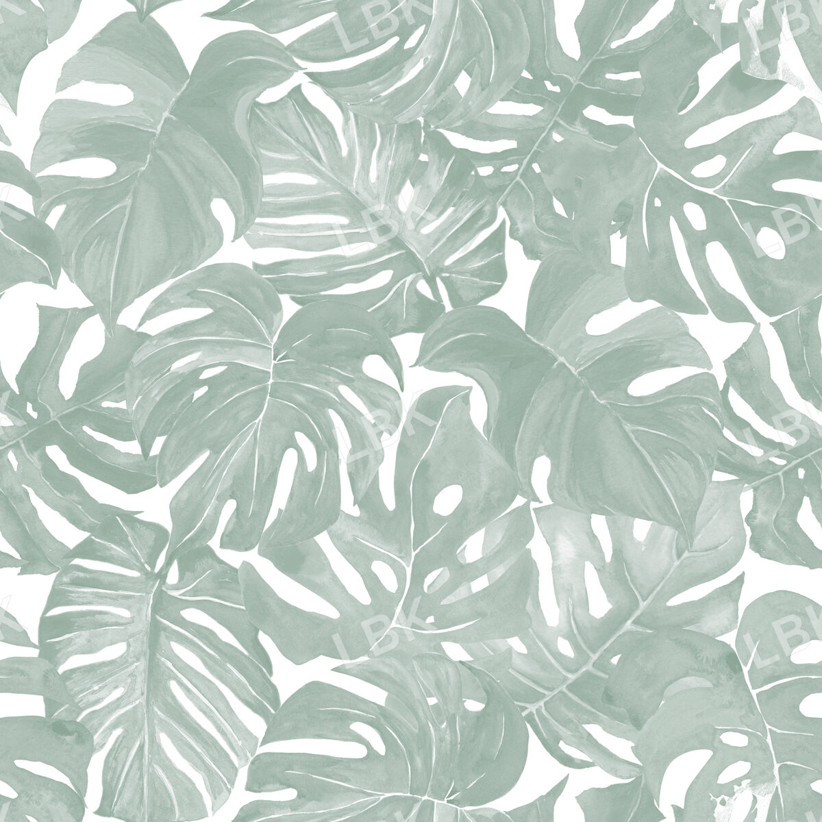 Monstera Botanical in Silver Sage