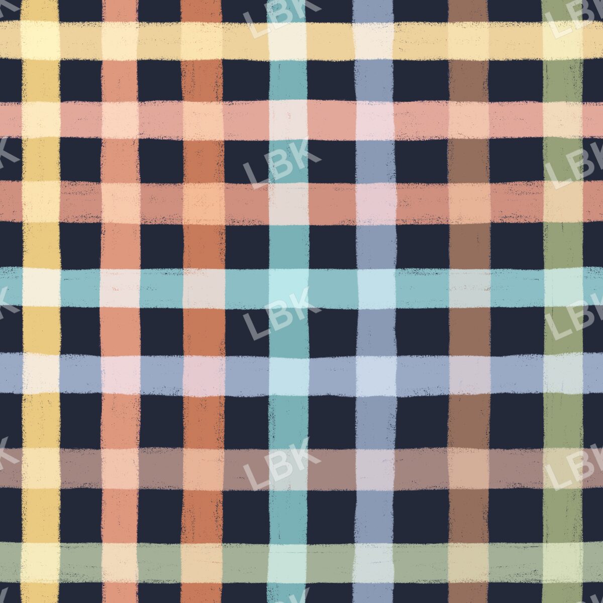 School house plaid navy multi