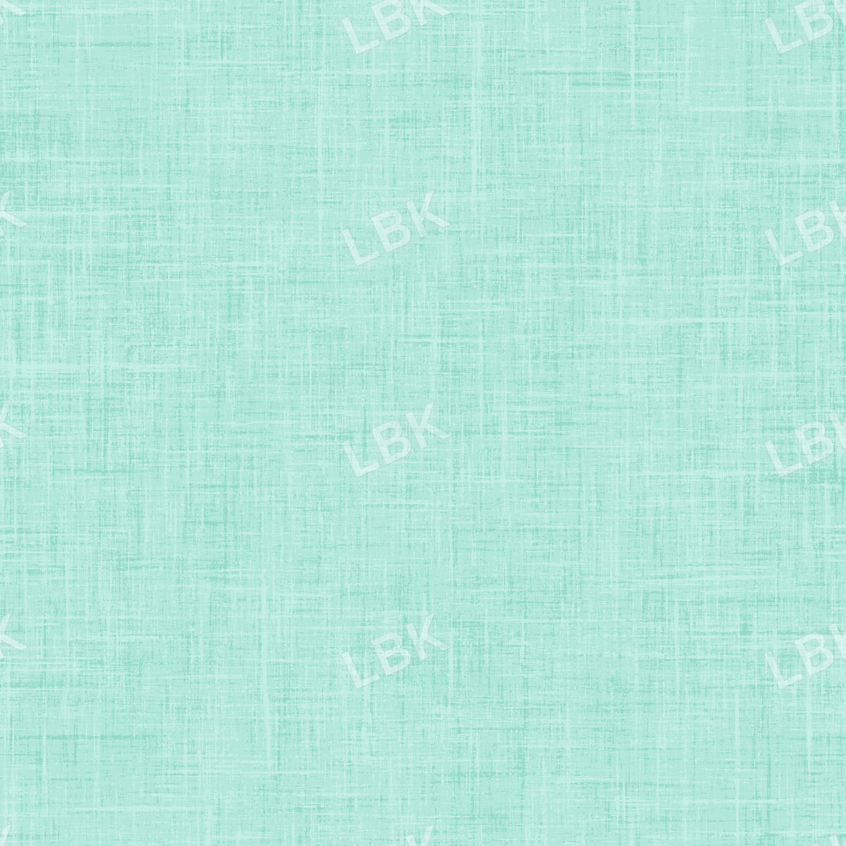 Skate Park Textured Solid Mint