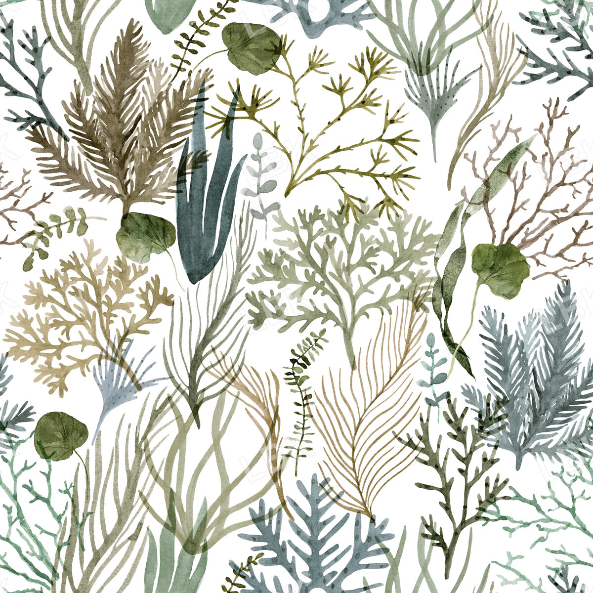 Coral Reef