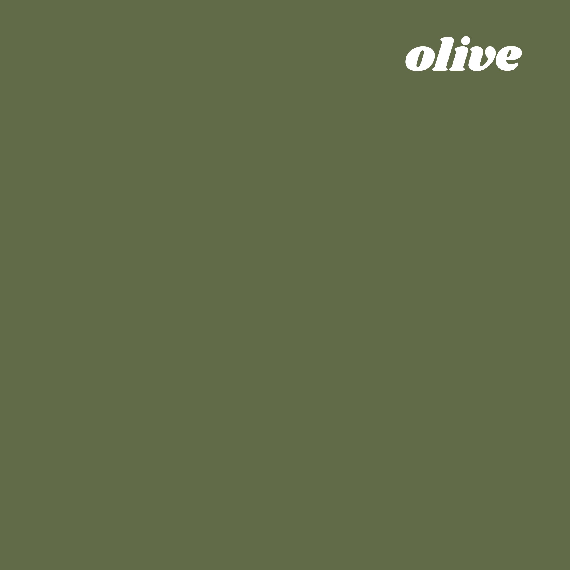 Euro Organic Cotton Solids mustard